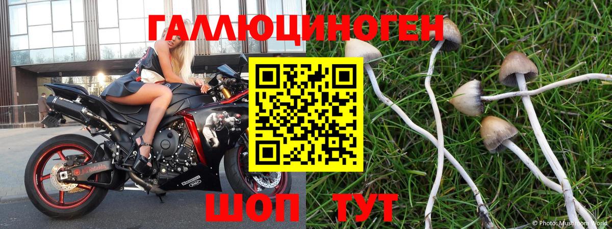 Жуковский  Псилоцибиновые грибы Magic Shrooms  Вход с VPN 